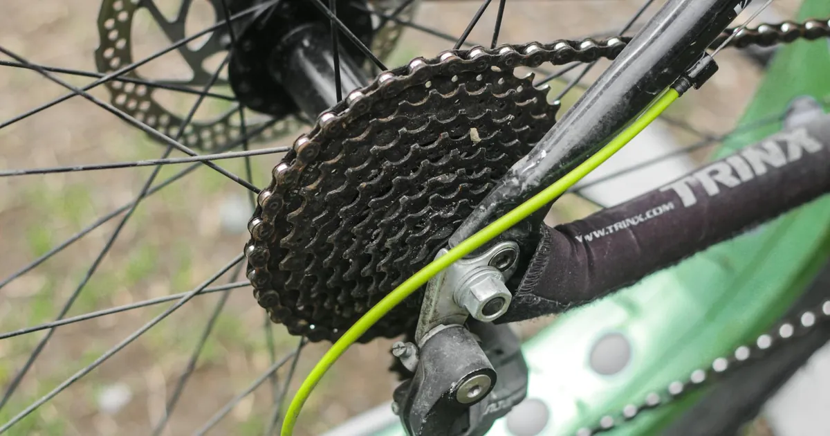 Detailed view of a mountain bike's gear and disc brake outdoors.